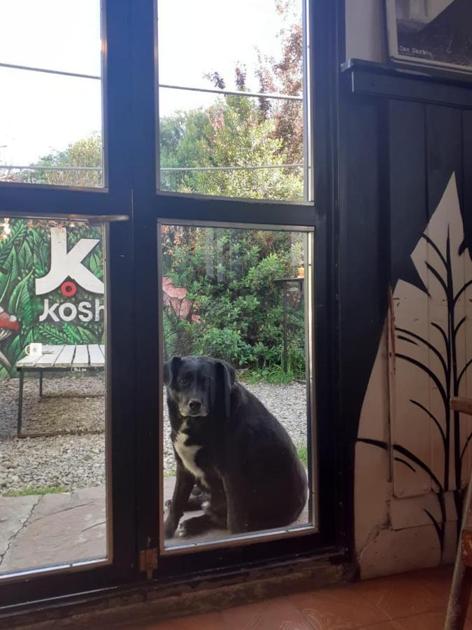 Kosh Vandrarhem San Carlos de Bariloche Exteriör bild