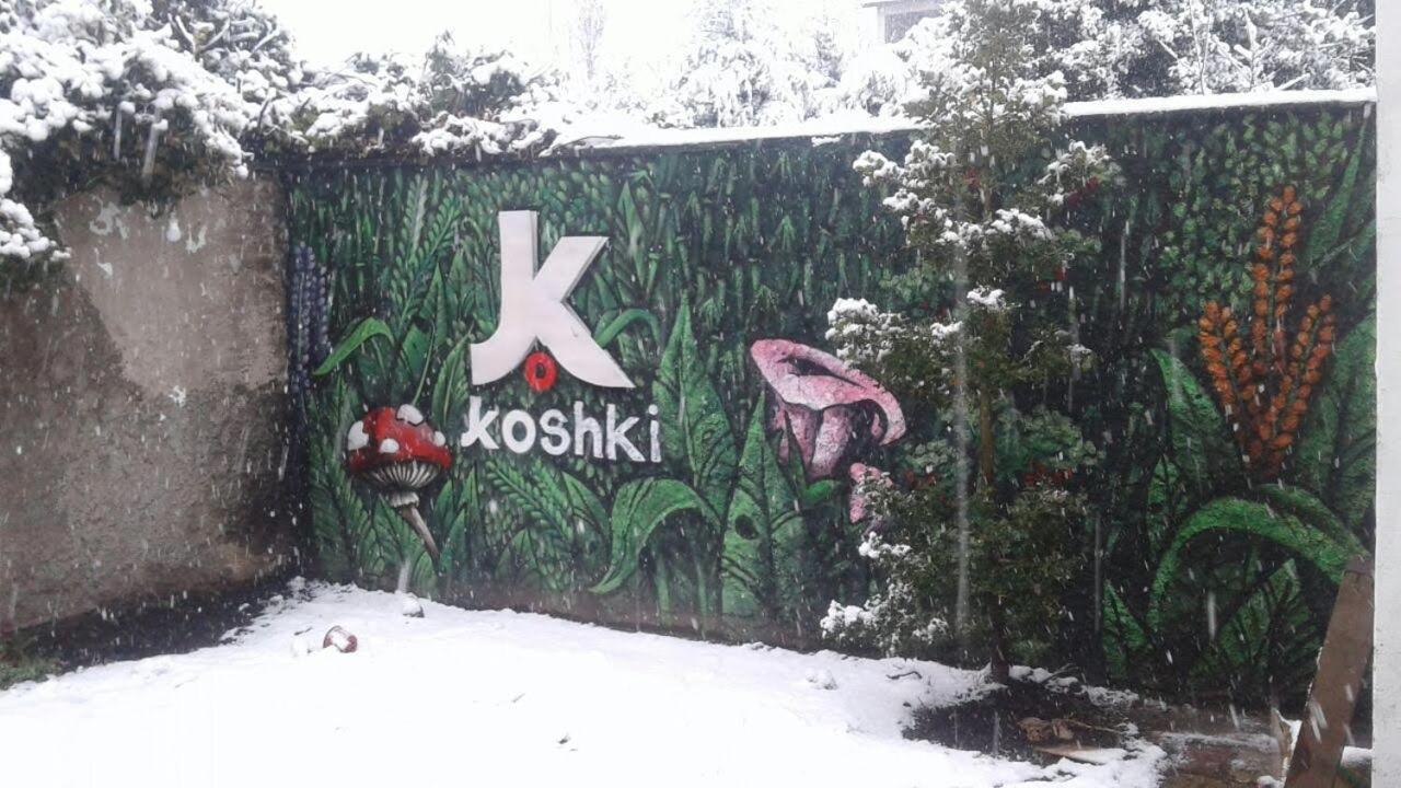 Kosh Vandrarhem San Carlos de Bariloche Exteriör bild